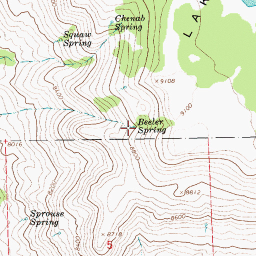 Topographic Map of Beeler Spring, UT