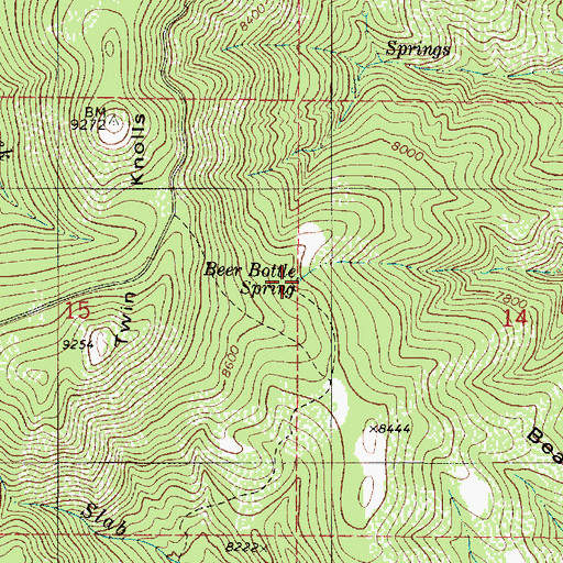 Topographic Map of Beer Bottle Spring, UT