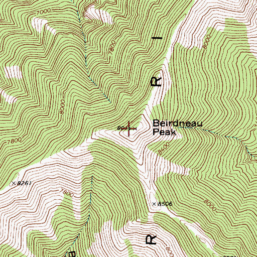 Topographic Map of Beirdneau Peak, UT