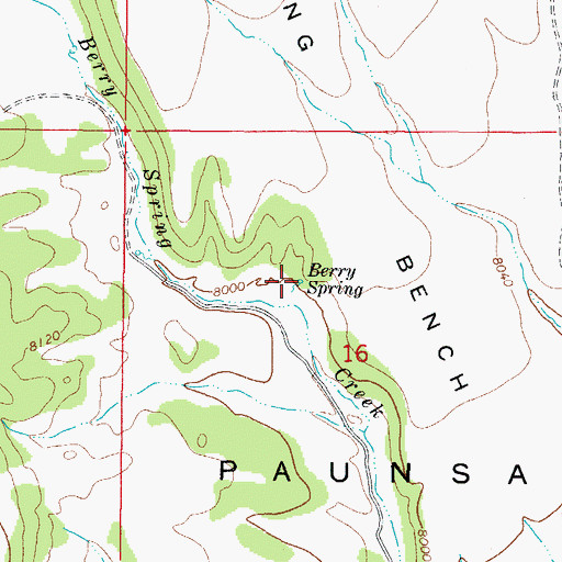 Topographic Map of Berry Spring, UT