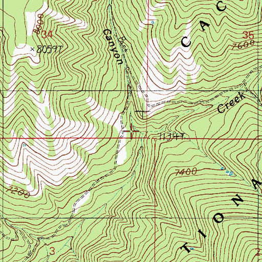 Topographic Map of Big Buck Canyon, UT