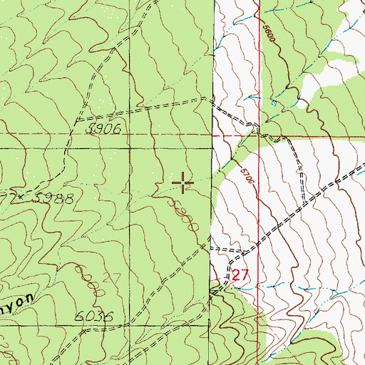 Topographic Map of Big Canyon, UT