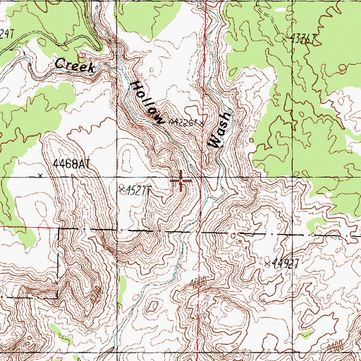 Topographic Map of Big Hollow, UT