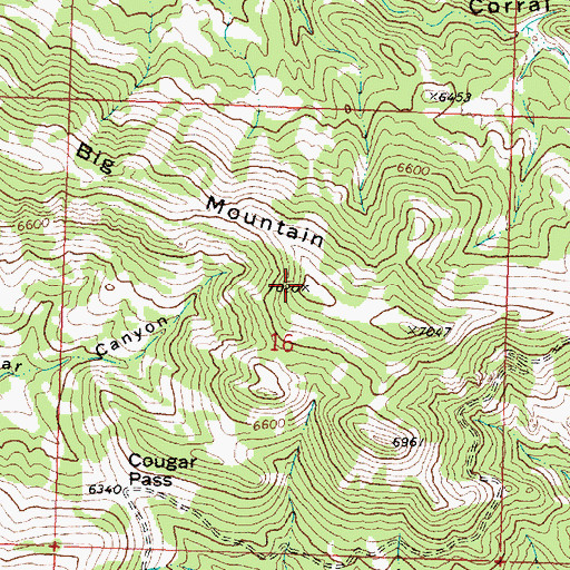 Topographic Map of Big Mountain, UT