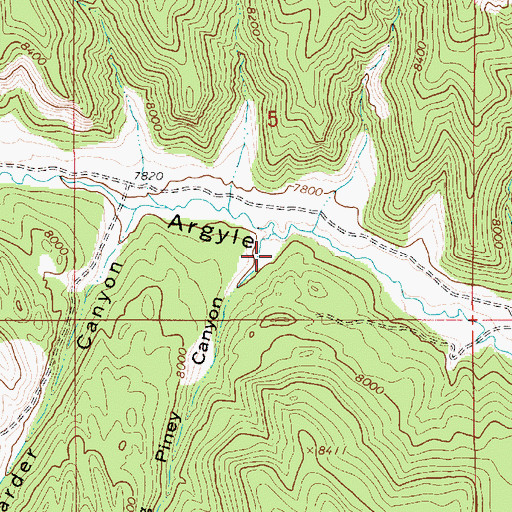 Topographic Map of Big Piney Canyon, UT