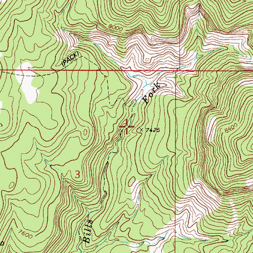 Topographic Map of Bills Fork, UT