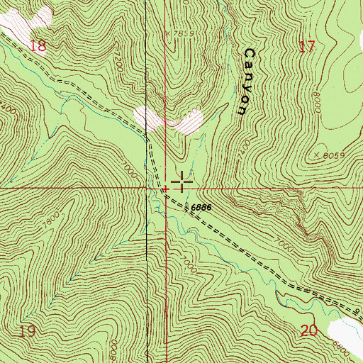 Topographic Map of Birch Bottom Canyon, UT