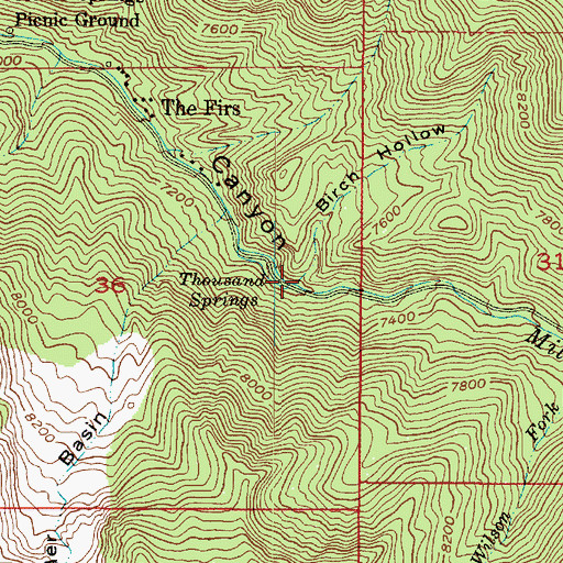 Topographic Map of Birch Hollow, UT