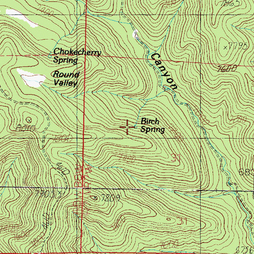 Topographic Map of Birch Spring, UT