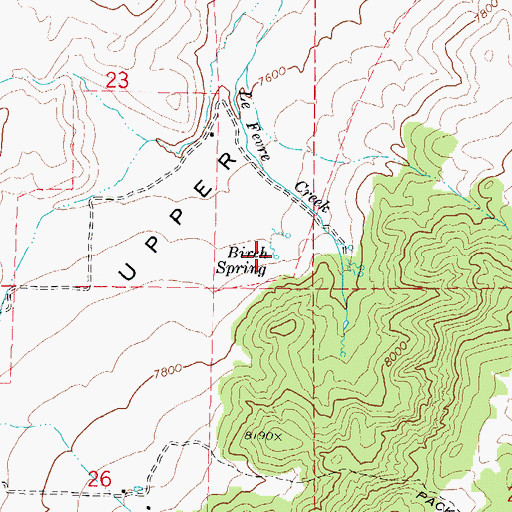 Topographic Map of Birch Spring, UT