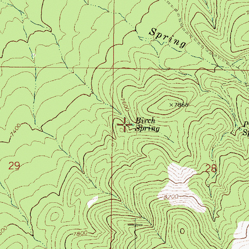 Topographic Map of Birch Spring, UT