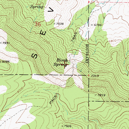 Topographic Map of Birch Spring, UT