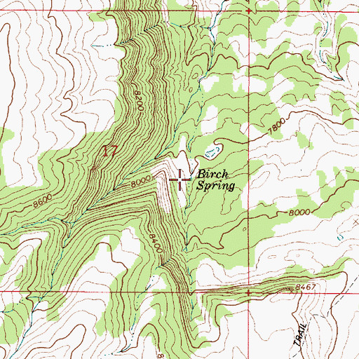 Topographic Map of Birch Spring, UT