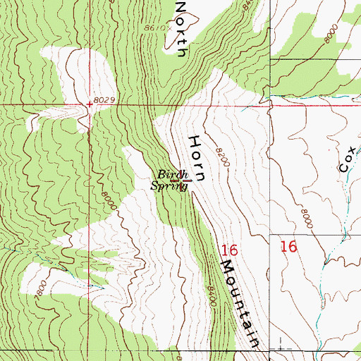 Topographic Map of Birch Spring, UT