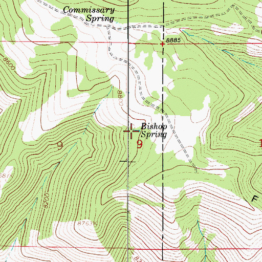 Topographic Map of Bishop Spring, UT