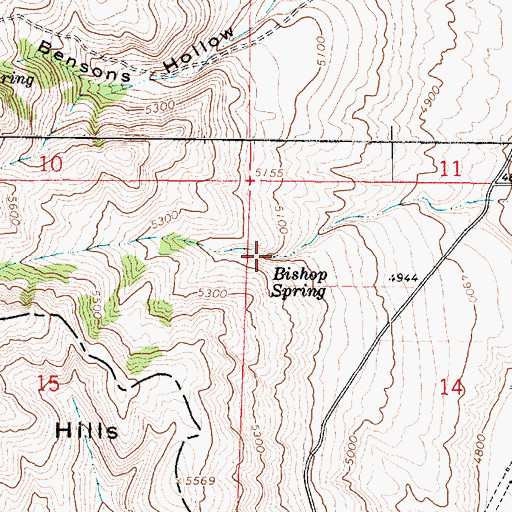 Topographic Map of Bishop Spring, UT