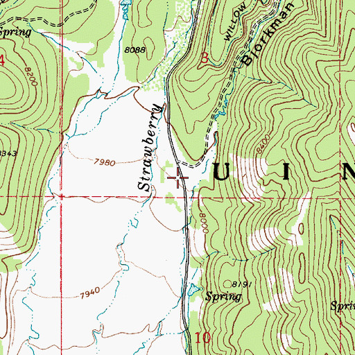 Topographic Map of Bjorkman Hollow, UT