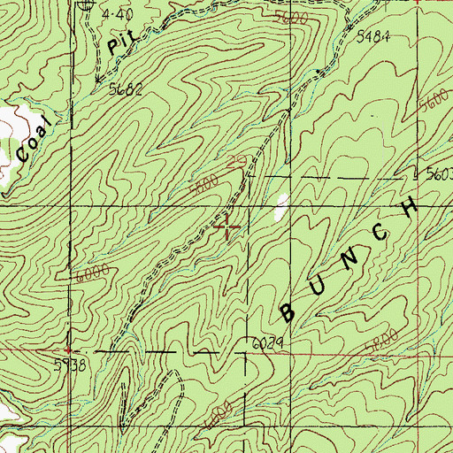 Topographic Map of Black Bunch, UT