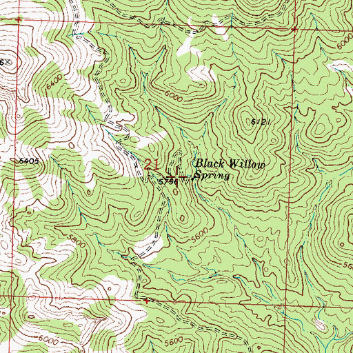 Topographic Map of Black Willow Spring, UT