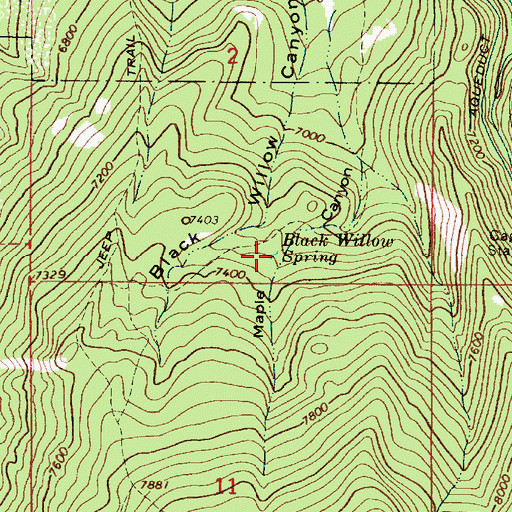 Topographic Map of Black Willow Spring, UT