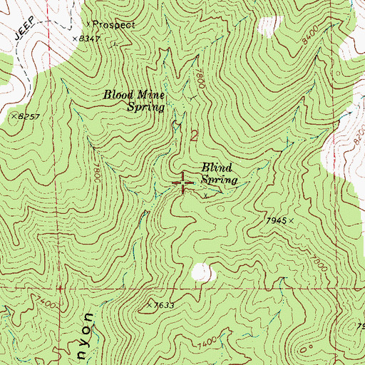 Topographic Map of Blind Spring, UT