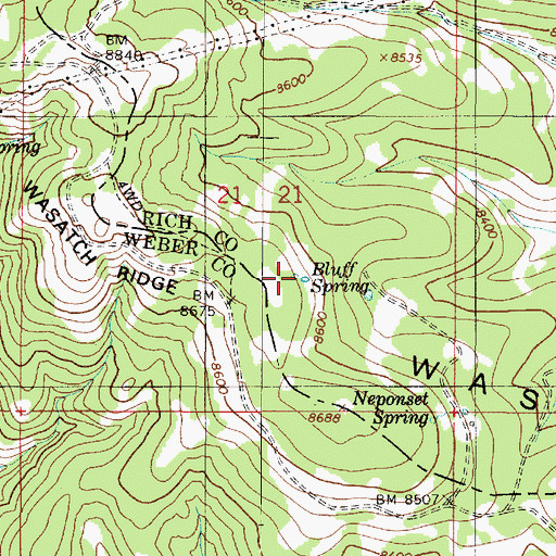 Topographic Map of Bluff Spring, UT