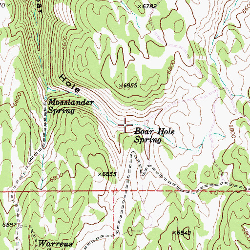 Topographic Map of Boar Hole Spring, UT