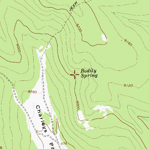 Topographic Map of Bodily Spring, UT