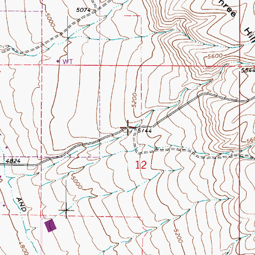 Topographic Map of Bogus Hollow, UT