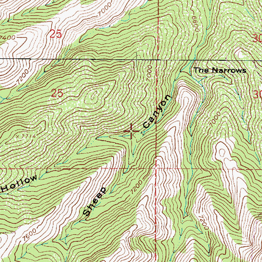 Topographic Map of Boiler Hollow, UT