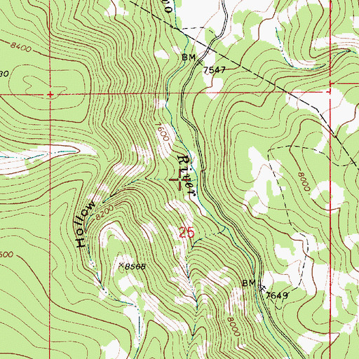 Topographic Map of Bone Hollow, UT