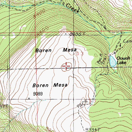 Topographic Map of Boren Mesa, UT
