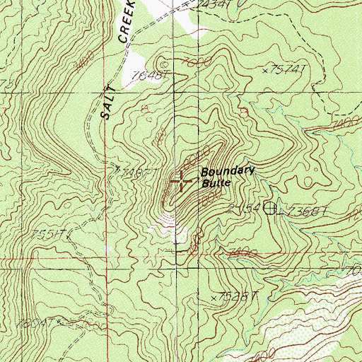 Topographic Map of Boundary Butte, UT