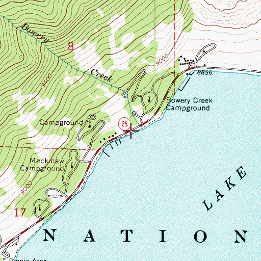 Topographic Map of Bowery Creek, UT