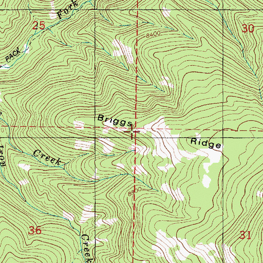 Topographic Map of Briggs Ridge, UT