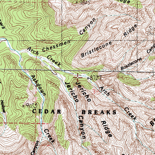 Topographic Map of Bristlecone Canyon, UT
