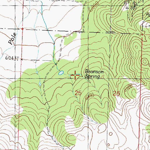 Topographic Map of Bronson Spring, UT