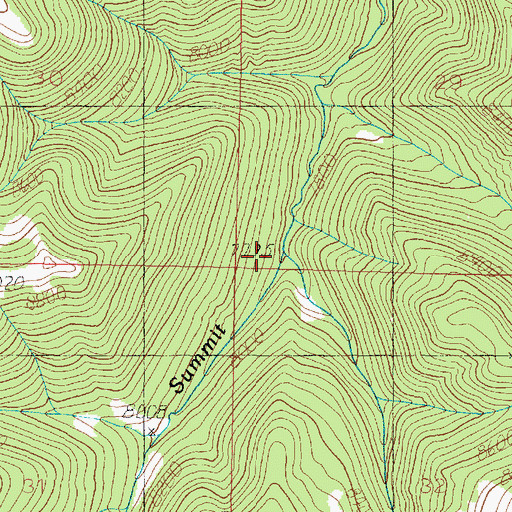 Topographic Map of Brown Creek, UT