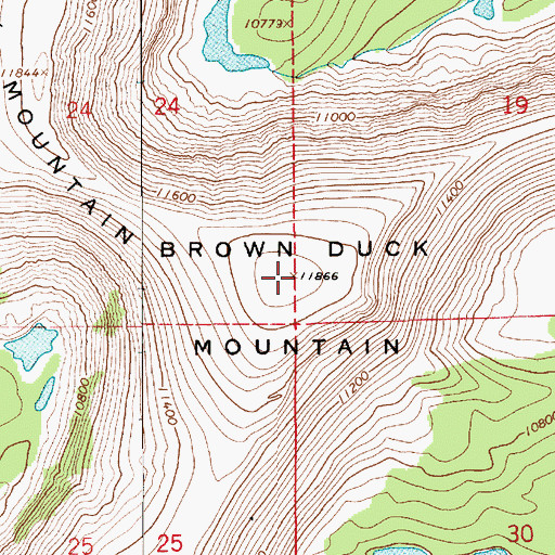 Topographic Map of Brown Duck Mountain, UT