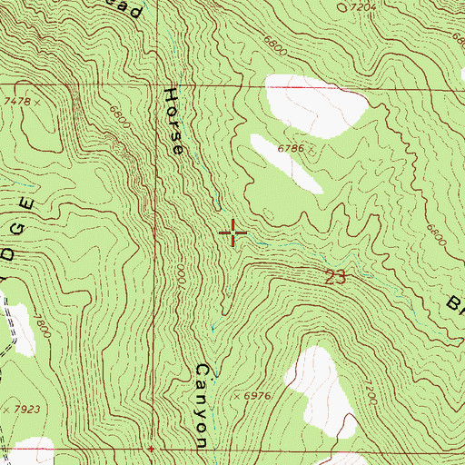 Topographic Map of Browns Hole, UT