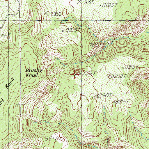 Topographic Map of Brushy Knoll, UT