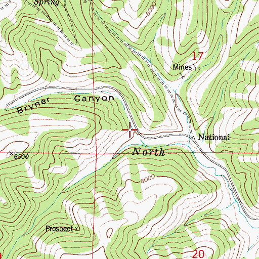 Topographic Map of Bryner Canyon, UT