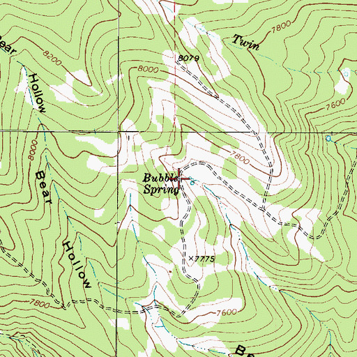 Topographic Map of Bubble Spring, UT