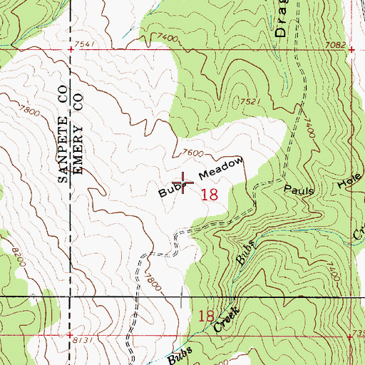 Topographic Map of Bubs Meadow, UT