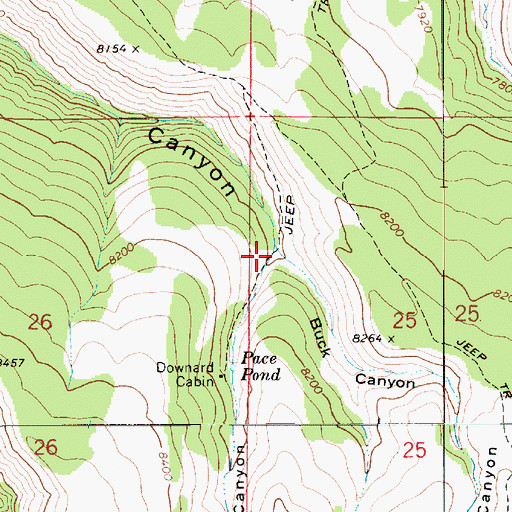 Topographic Map of Buck Canyon, UT