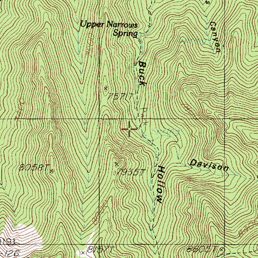 Topographic Map of Buck Hollow, UT