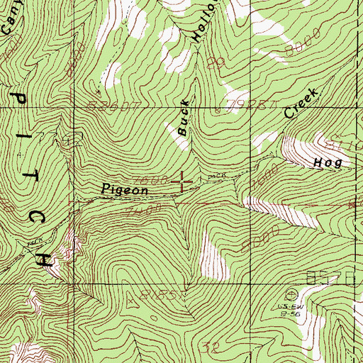 Topographic Map of Buck Hollow, UT