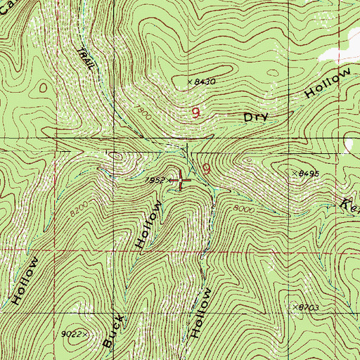 Topographic Map of Buck Hollow, UT