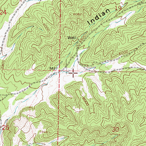 Topographic Map of Buck Hollow, UT