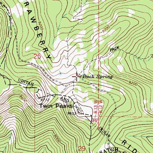 Topographic Map of Buck Spring, UT